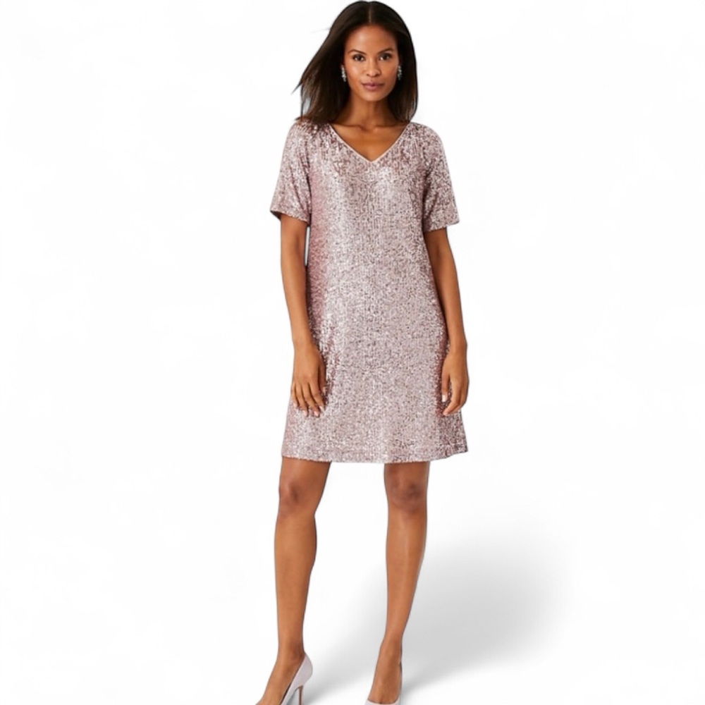 Ann Taylor Sequin Embellished Dress in Pink and Cream Sz 4 MWT